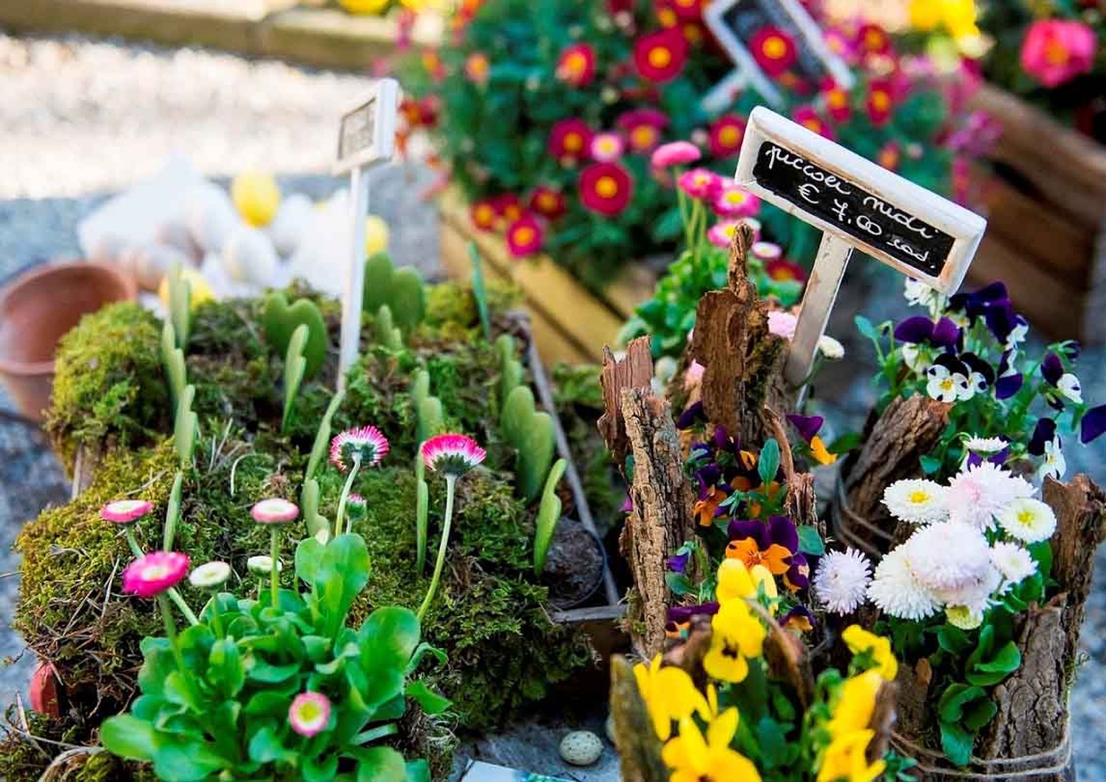 Composition florale en hauteur